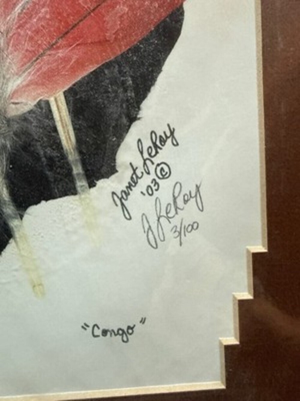 Janet LeRoy Signed Numbered Print "Congo" 3/100 African Grey Parrot Feather Art - Picture 3 of 3